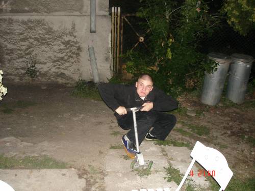 Zfazowany paweek