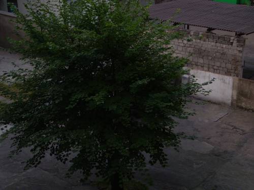 nasz ogrd
