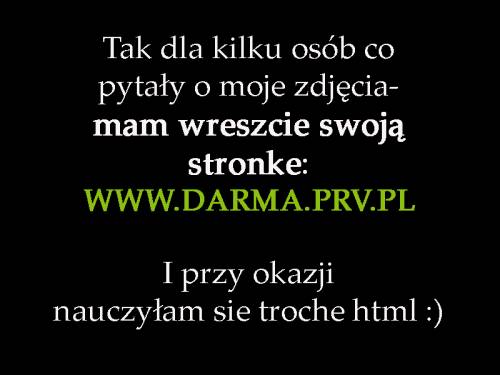 Wreszcie wasna stronka