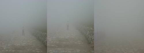 The fogg