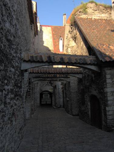 Tallin cd.
