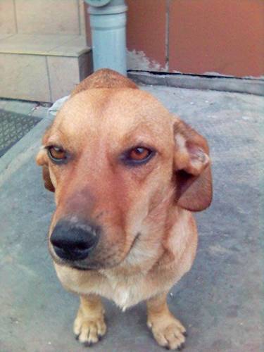 Tobi :->