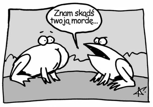 Wpis loobuz