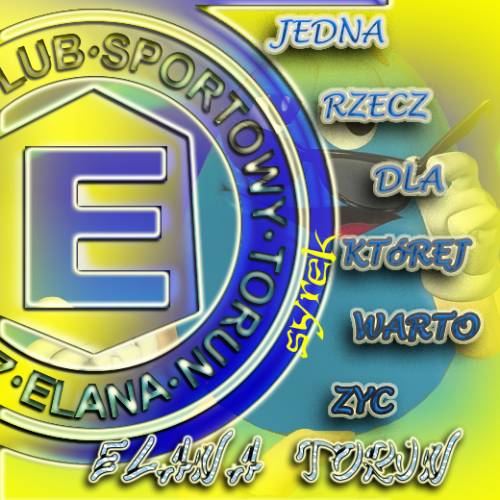 MOKRE 100% ELANA WADCY TORUNIA