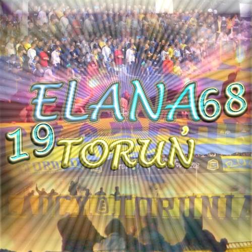MOKRE 100% ELANA WADCY TORUNIA