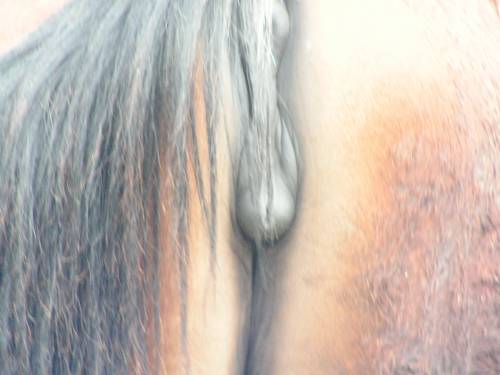 Dupa :P