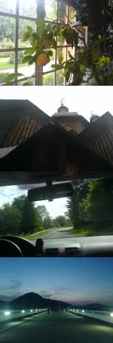 15.