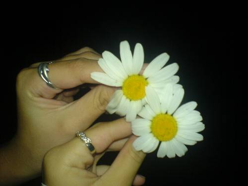 16.