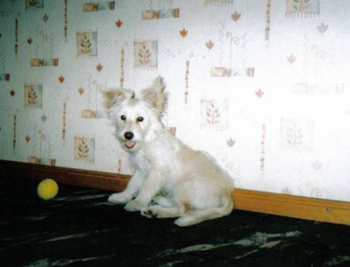 Anioeczek :)