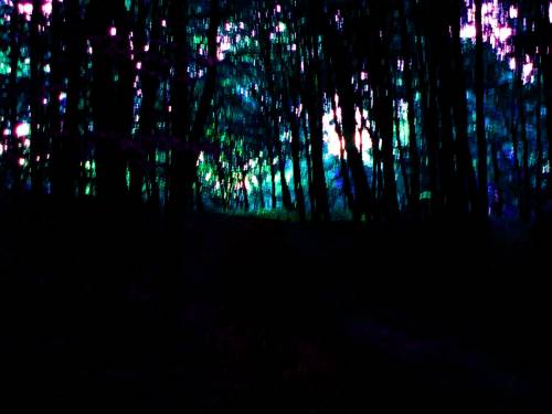 That Night