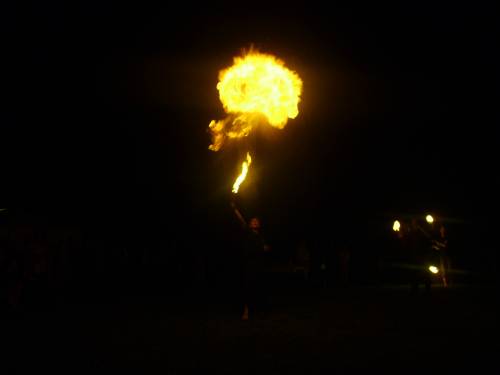 plun...