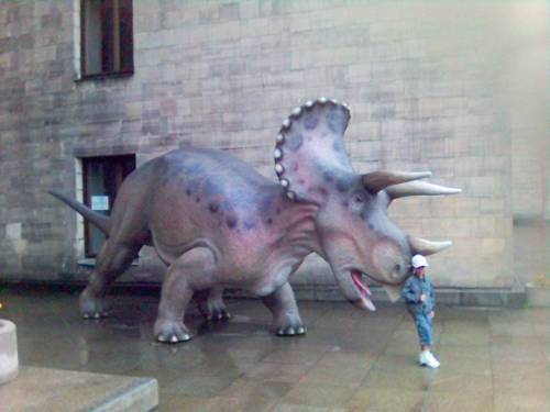 Triceratops