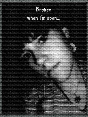 Broken when I\'m open...