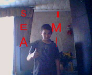 Siema 