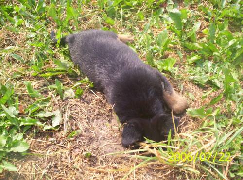 ~jUpI~