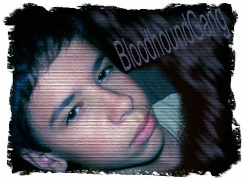 Bloodhound Gang
