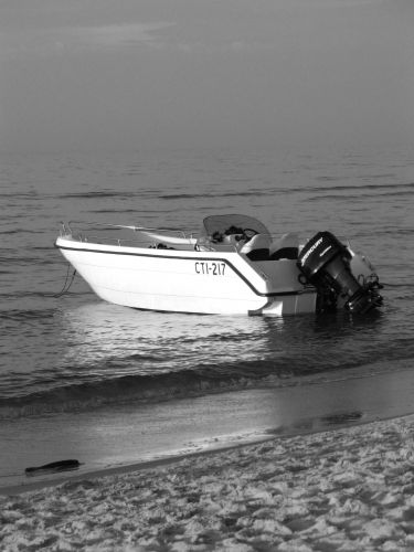 Wpis orzel18