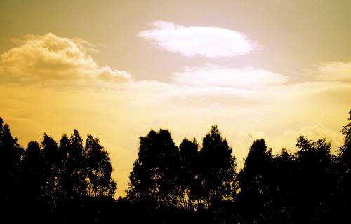 by me.