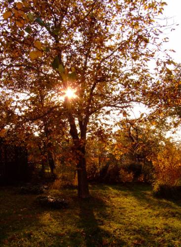 The season of the fall begins...