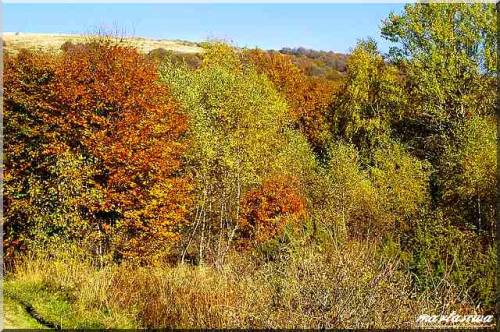 Bieszczady