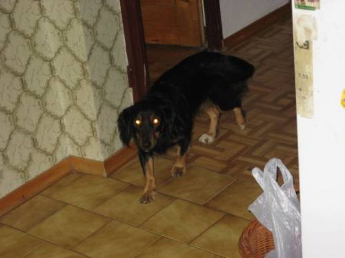 ebrak