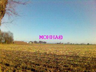 MOHHA