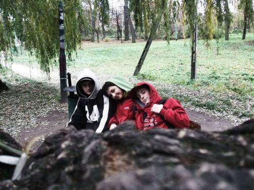 Wpis sdzzp