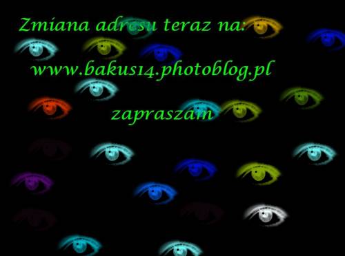 Wpis paulinia092