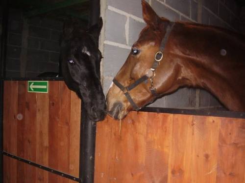 Lostusia and Czejen