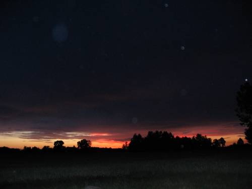 Wpis kobietka