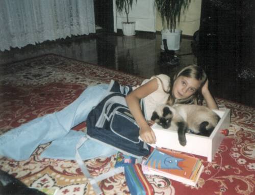miau......KOCIAK......miau