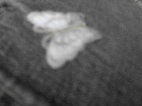 motylek.;)