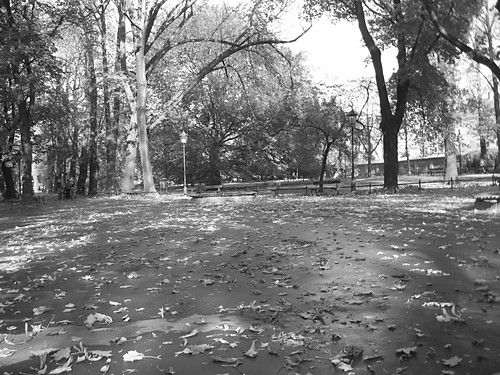 ~niewierze.