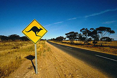 Australian Outback.Kangaroo Sign