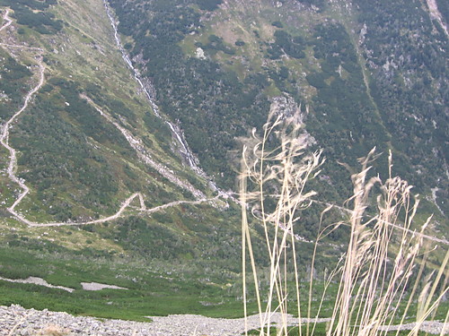Wpis waybeyond