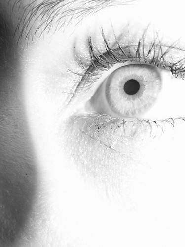 Auge