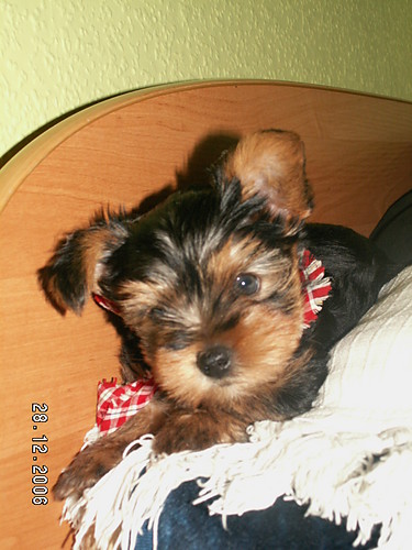 SoBoTa:) ......:)