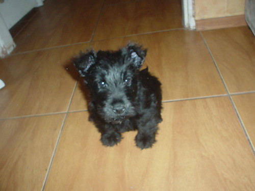 Fiona :)