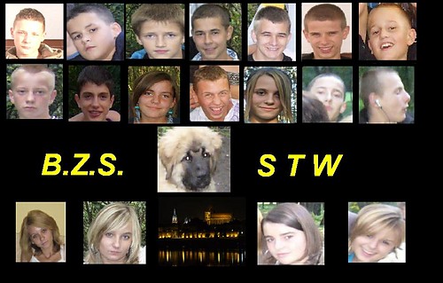        B.Z.S.  STW