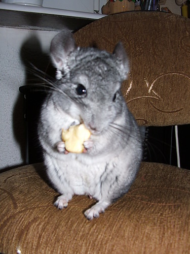 kwana minka
