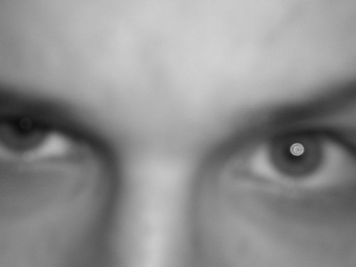 Eye of the tiger