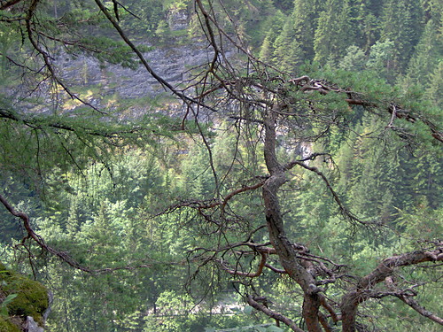 LIPTOVSKI MIKULAS 2005