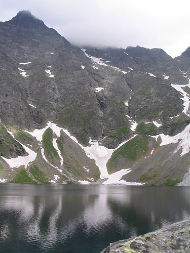 morska d