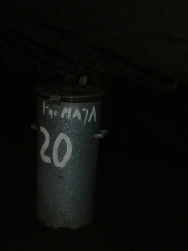 41