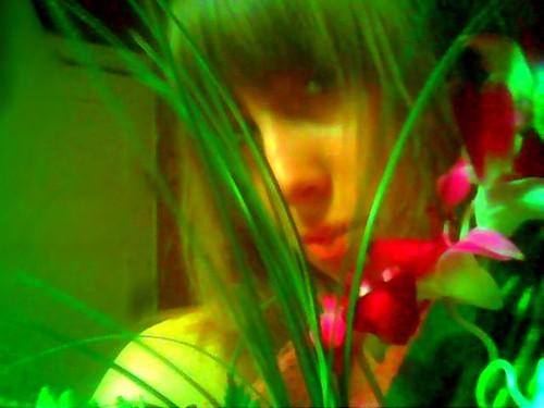 Wpis mysiulkaa