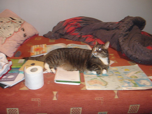Wpis toksyna1