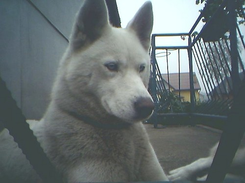 Kaja [*] [*]
