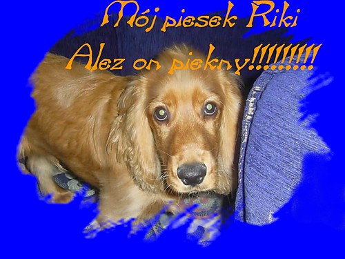 Rikiiiiiiiiiii:):):):):)