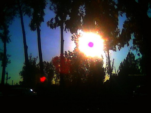 Wpis mysiulkaa