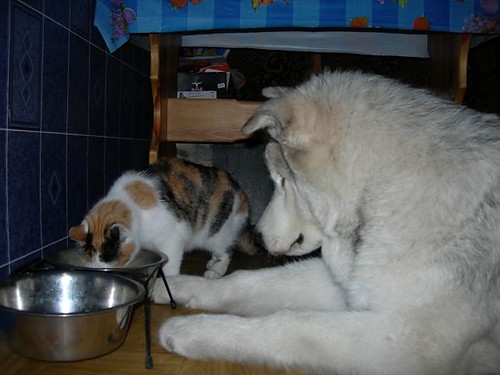 Iki & Mika